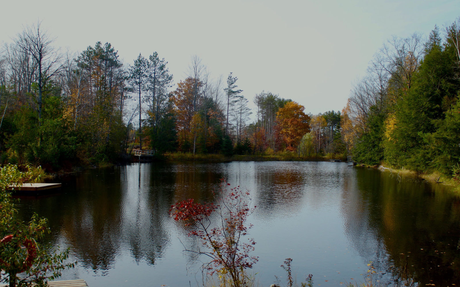 Simone wessels bloom 56vwq C8levk unsplash