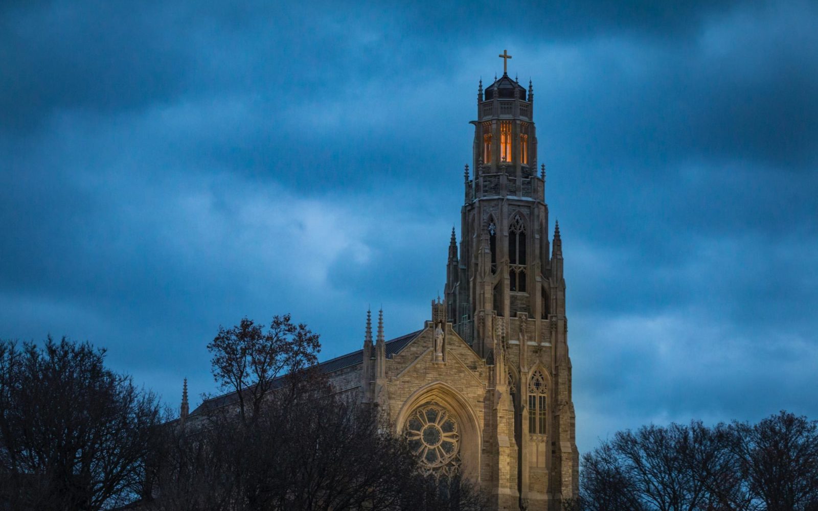 Vivek trivedi e9n Gua3 T Pgc unsplash